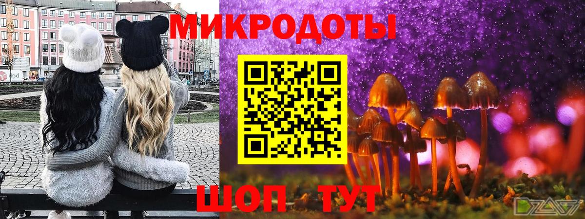 Псилоцибиновые грибы ЛСД Ефремов