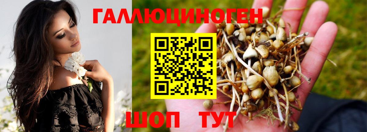 Ефремов  Галлюциногенные грибы MAGIC MUSHROOMS  Вход с VPN  Галлюциногенные грибы MAGIC MUSHROOMS 
